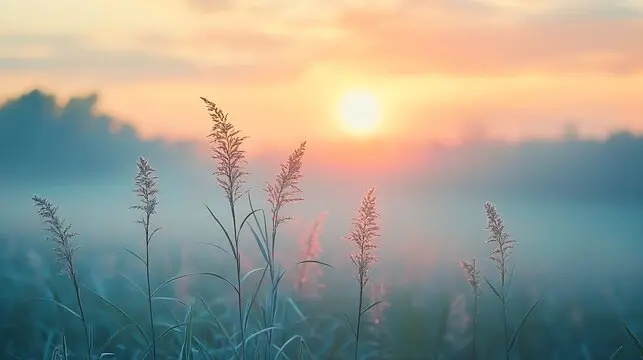Calm sunrise illustration with soft botanical shapes